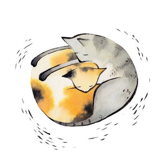 Sustainable & Quirky Gifts for Cat Lovers - Pookipoiga