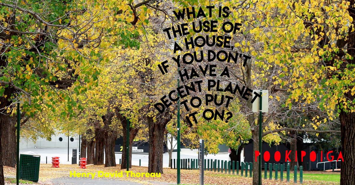 Ten steps for sustainable living- you may not know some!