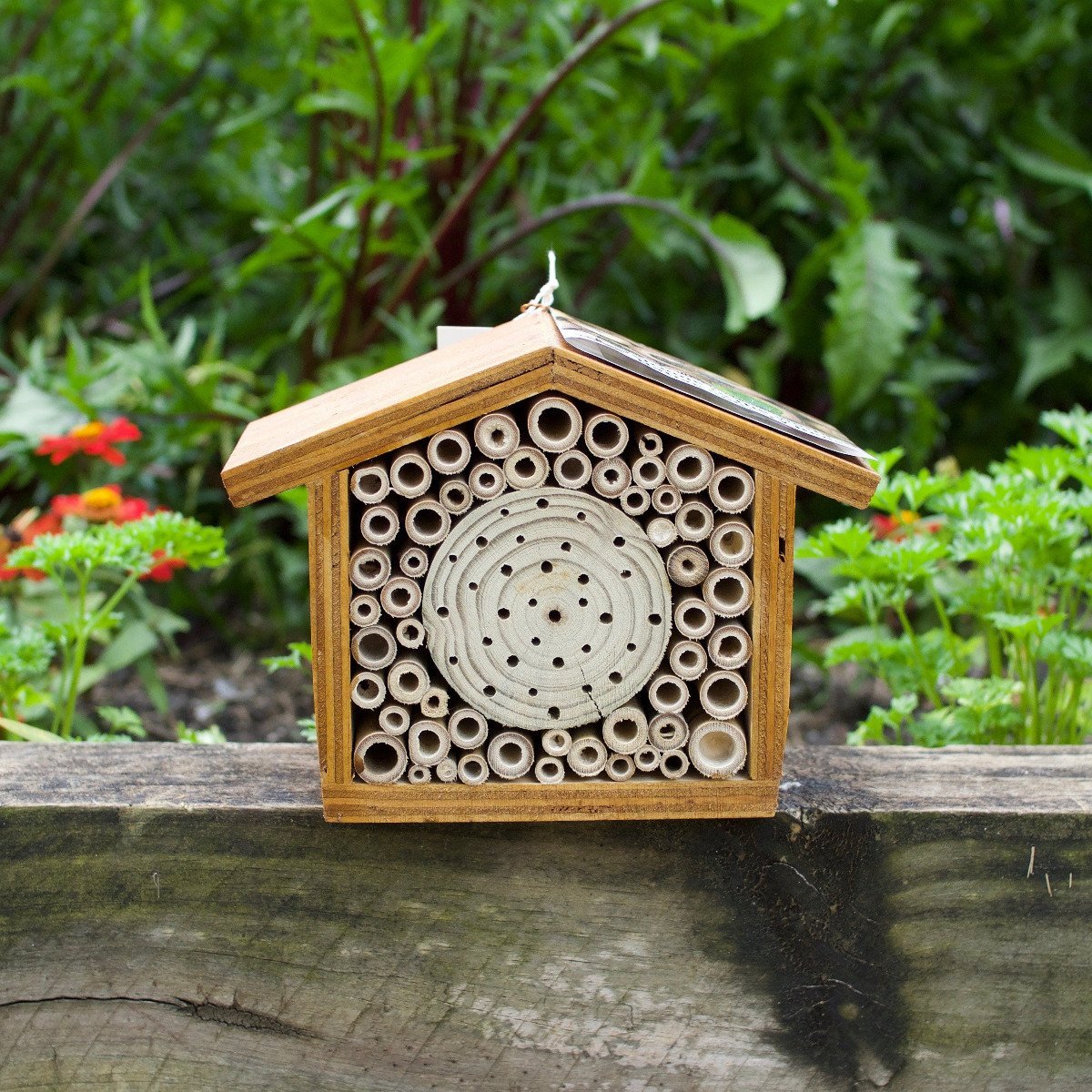Bee Hotels and Garden Tools - Pookipoiga