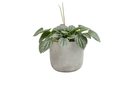 Cement pot 120mm