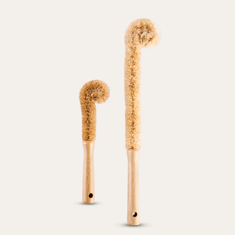Import antsSeed & Sprout Long Bottle Brush - Beechwood same day gift delivery melbourne
