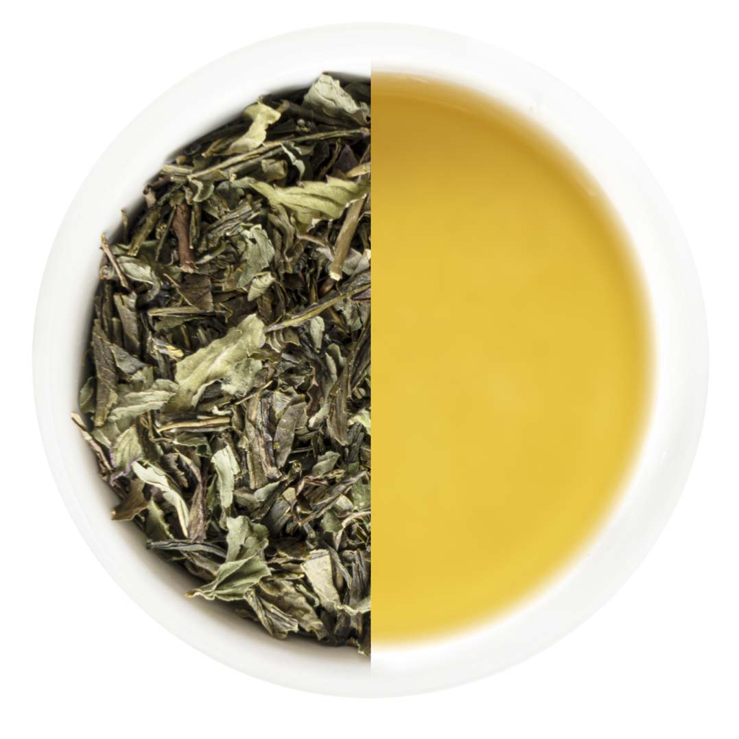 Monista Tea Co. Oriental Garden Green Tea Mini