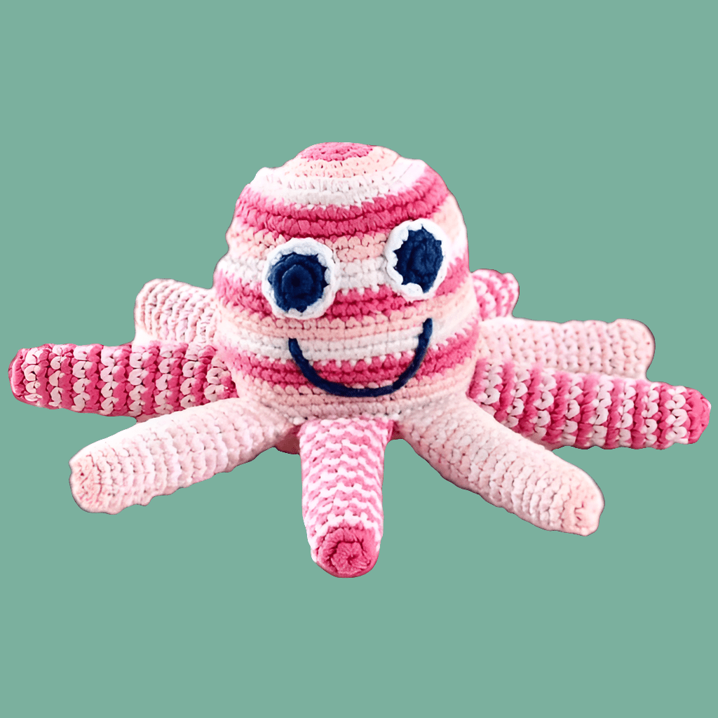 PebbleOctopus Rattle same day gift delivery melbourne