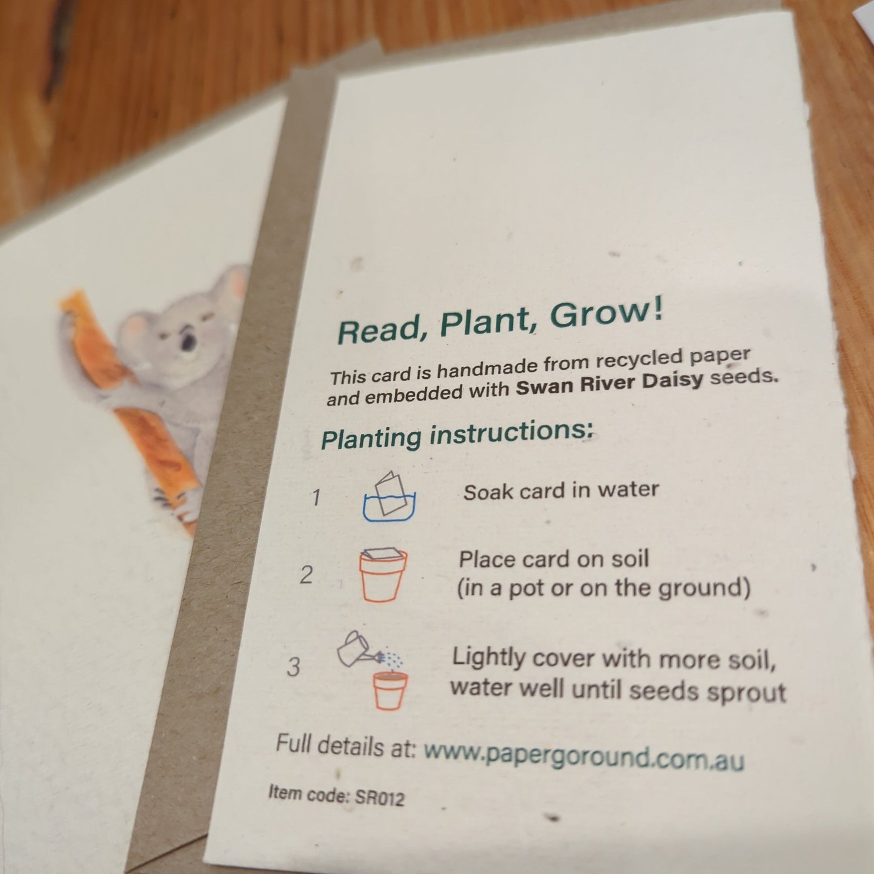 Koala Seed Card