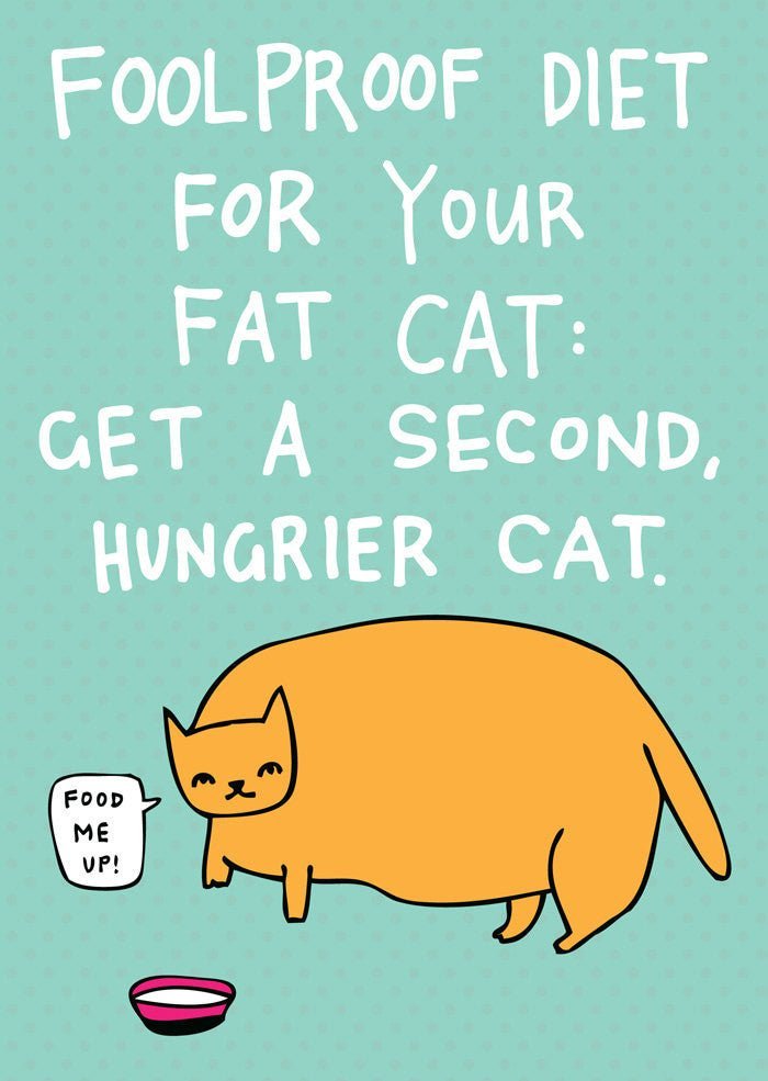 Able and GameAble and Game Foolproof diet for your fat cat: Get a second, hungrier cat #same day gift delivery melbourne#