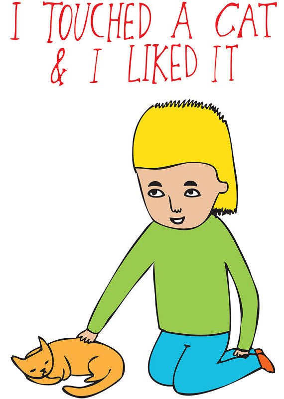 Able and GameAble and Game I touched a cat and I liked it #same day gift delivery melbourne#