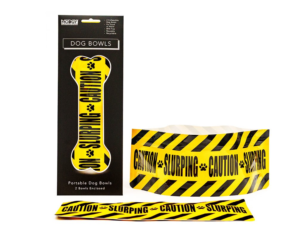 Blue QModgy Dog Bowl - Pawtion #same day gift delivery melbourne#