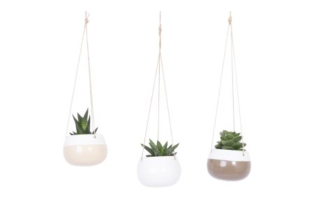 Dans Plants Oslo Hanging Pot 120mm #same day gift delivery melbourne#