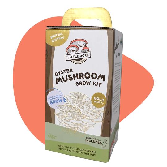 Little Acre Gold Oyster Mushroom Grow Kit LIMITED EDITION