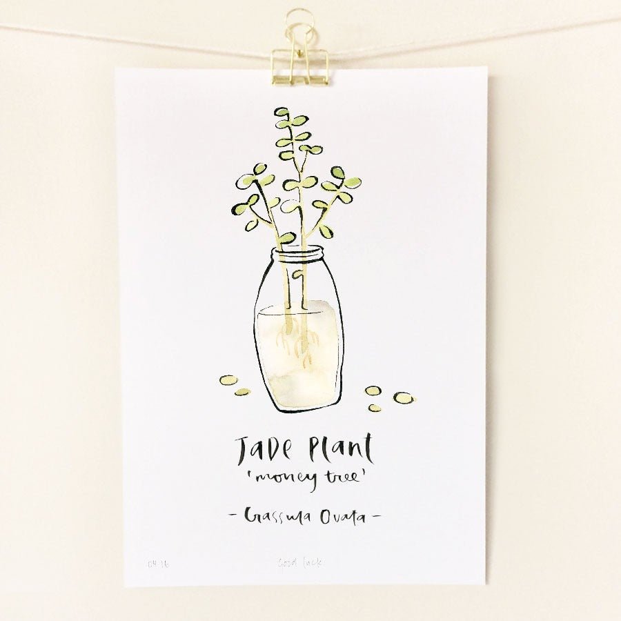 jade plant watercolor Jade Plant A4 Art Print