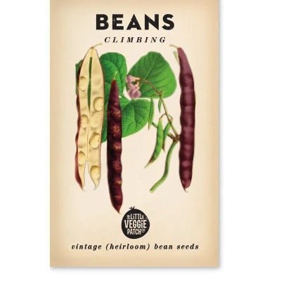 Little Veggie Patch Co BEANS CLIMBING 'SCARLETT RUNNER' HEIRLOOM SEEDS
