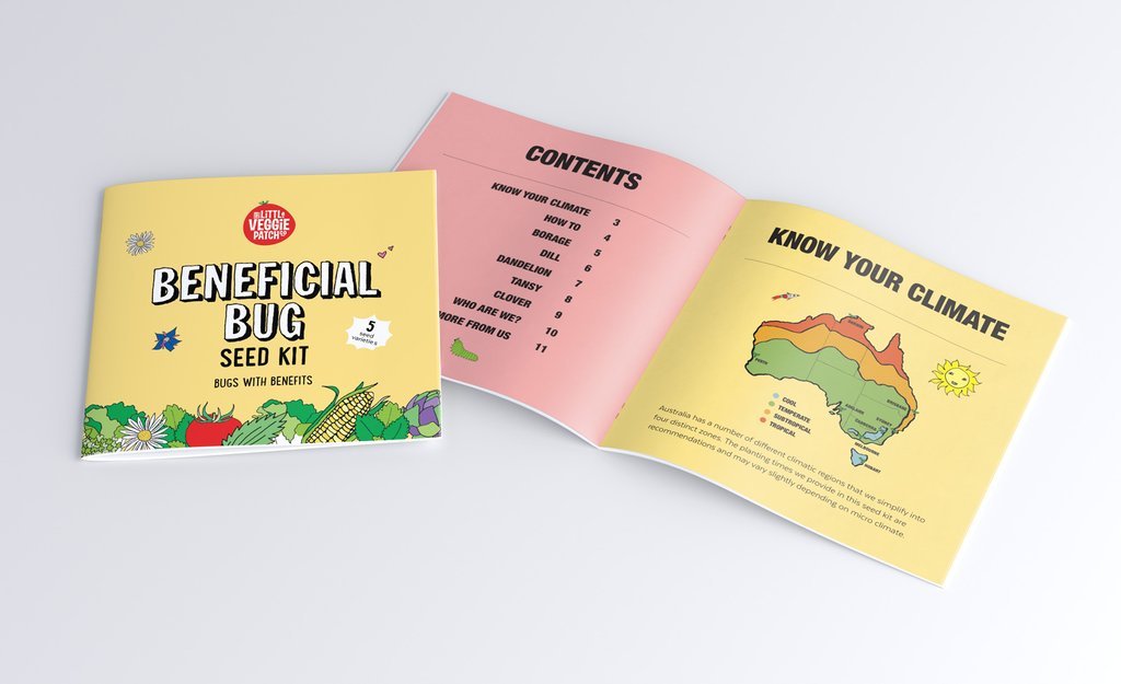 Little Veggie Patch Co Beneficial Bug Seed Kit