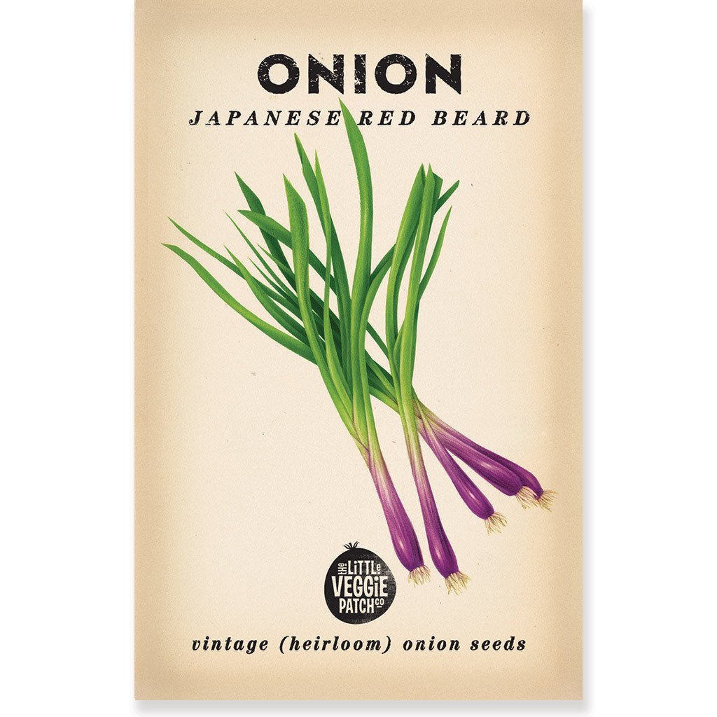 Little Veggie Patch Co ONION "JAPANESE RED BEARD" HEIRLOOM SEEDS