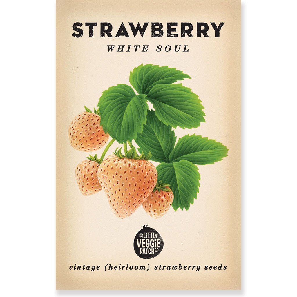 Little Veggie Patch Co STRAWBERRY "WHITE SOUL" HEIRLOOM SEEDS
