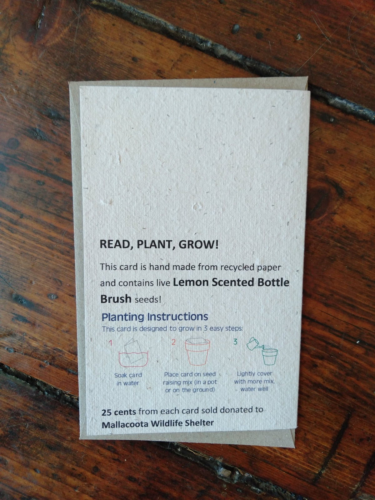 Planet Go RoundKoala Seed Card #same day gift delivery melbourne#