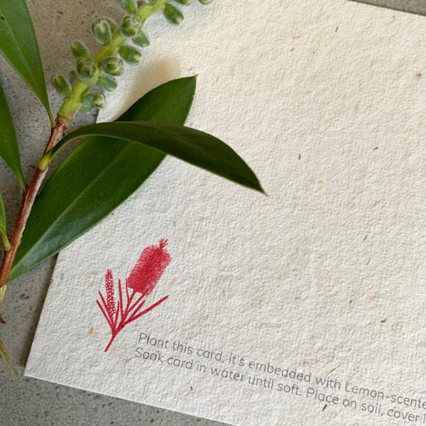 Seeded Postcard