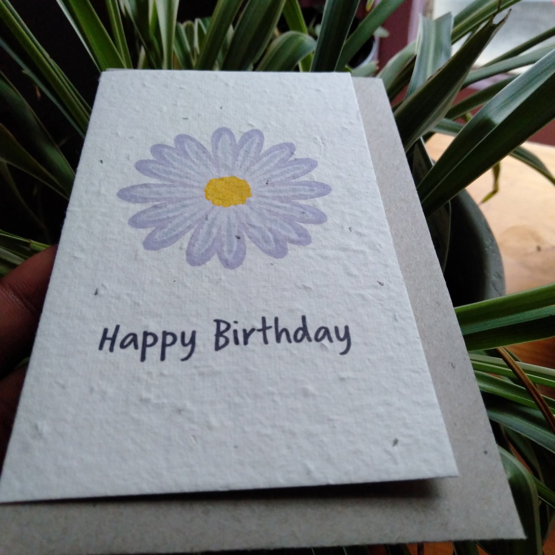 Happy Birthday Purple flower Seed Card