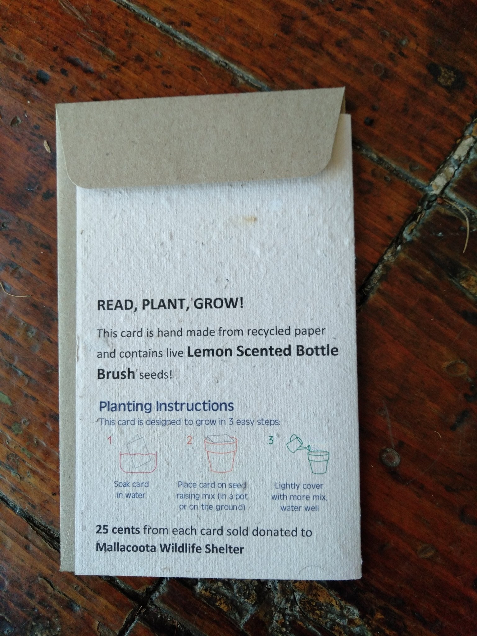 Plantable Orange Kangaroo Seed Card