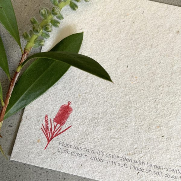 Planet Go RoundPlanet Go Round Plantable Writing Set postcards – Pack Of 8 #same day gift delivery melbourne#