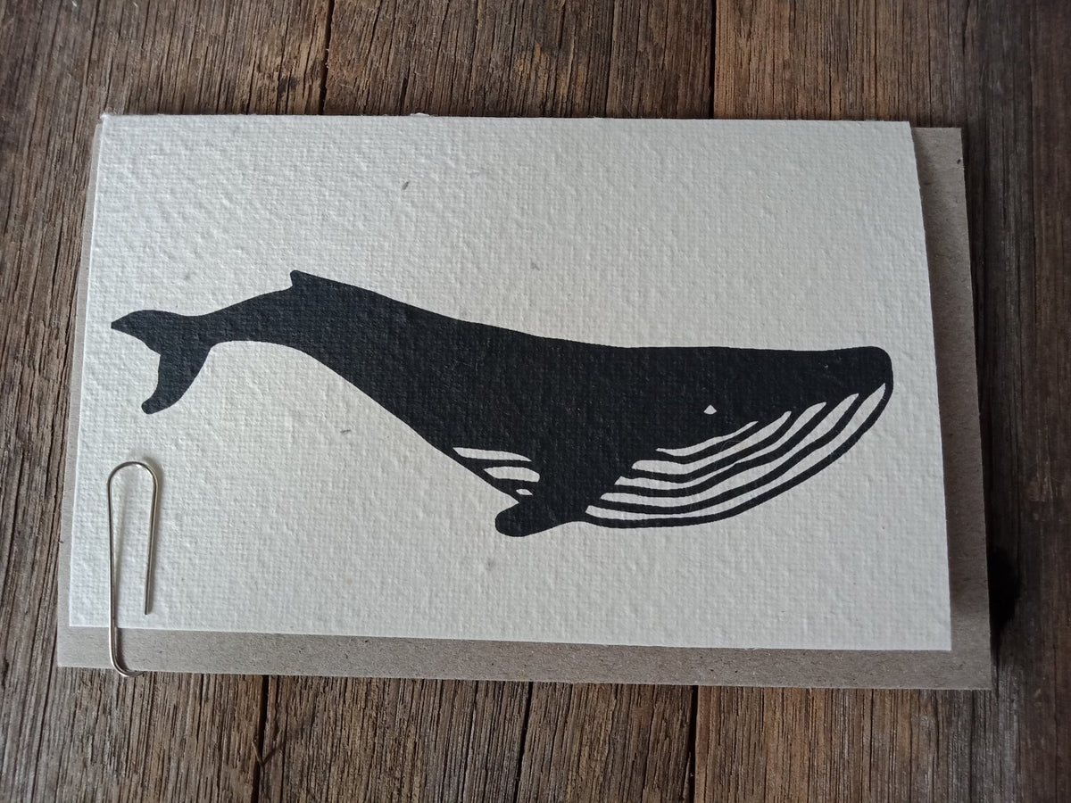 Planet Go RoundPlanet Go Round Whale Seed Card #same day gift delivery melbourne#