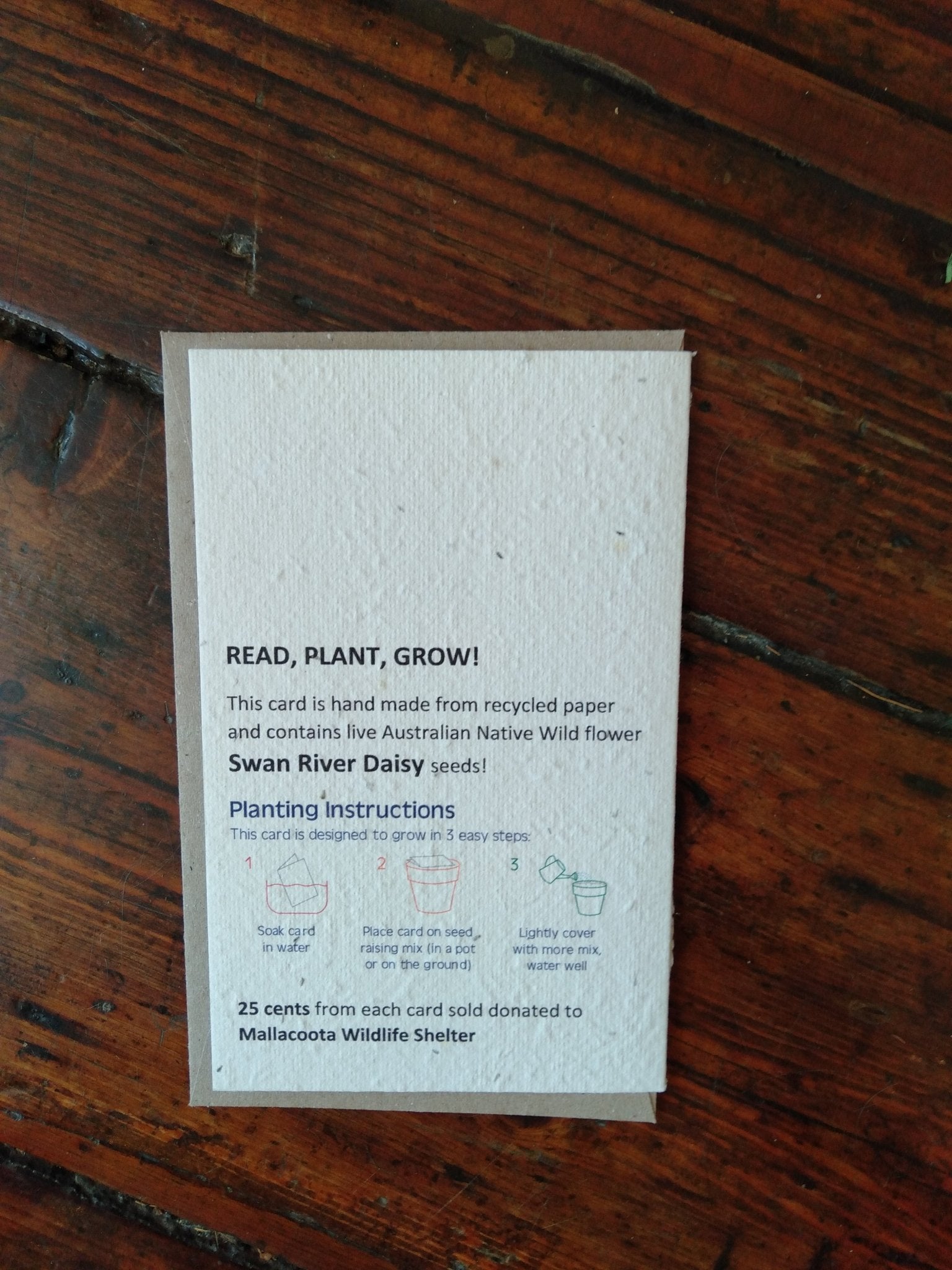 Plantable Wombat Seed Card