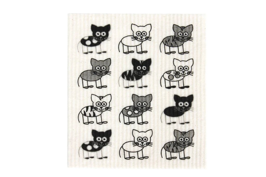 Retro Kitchen 100% Compostable Dishcloth