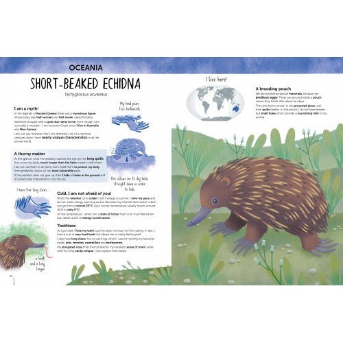 Sassi juniorSassi Atlas of Biodiversity - Animals #same day gift delivery melbourne#