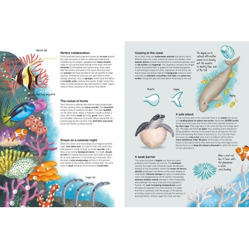 Sassi Atlas of Biodiversity - Ecosystems to Protect