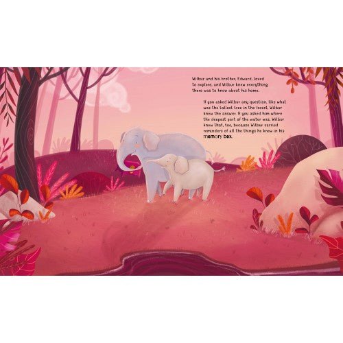 Sassi juniorSassi Story and Picture Book - Wilbur's Memory Box #same day gift delivery melbourne#