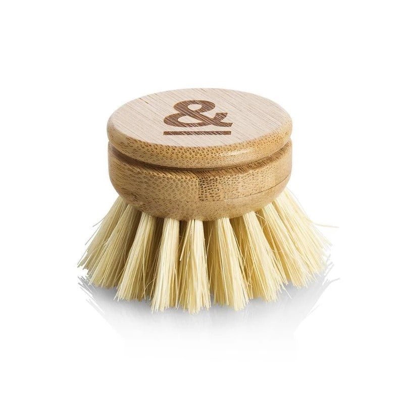 Seed & Sprout wooden dish brush replacement head with natural sisal plant bristles.