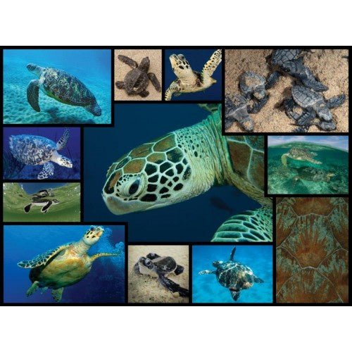 WWFWWF 1000 pieces Sea Turtles Puzzle #same day gift delivery melbourne#