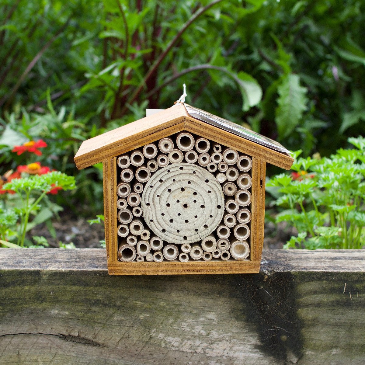 Bee Hotels and Garden Tools - Pookipoiga