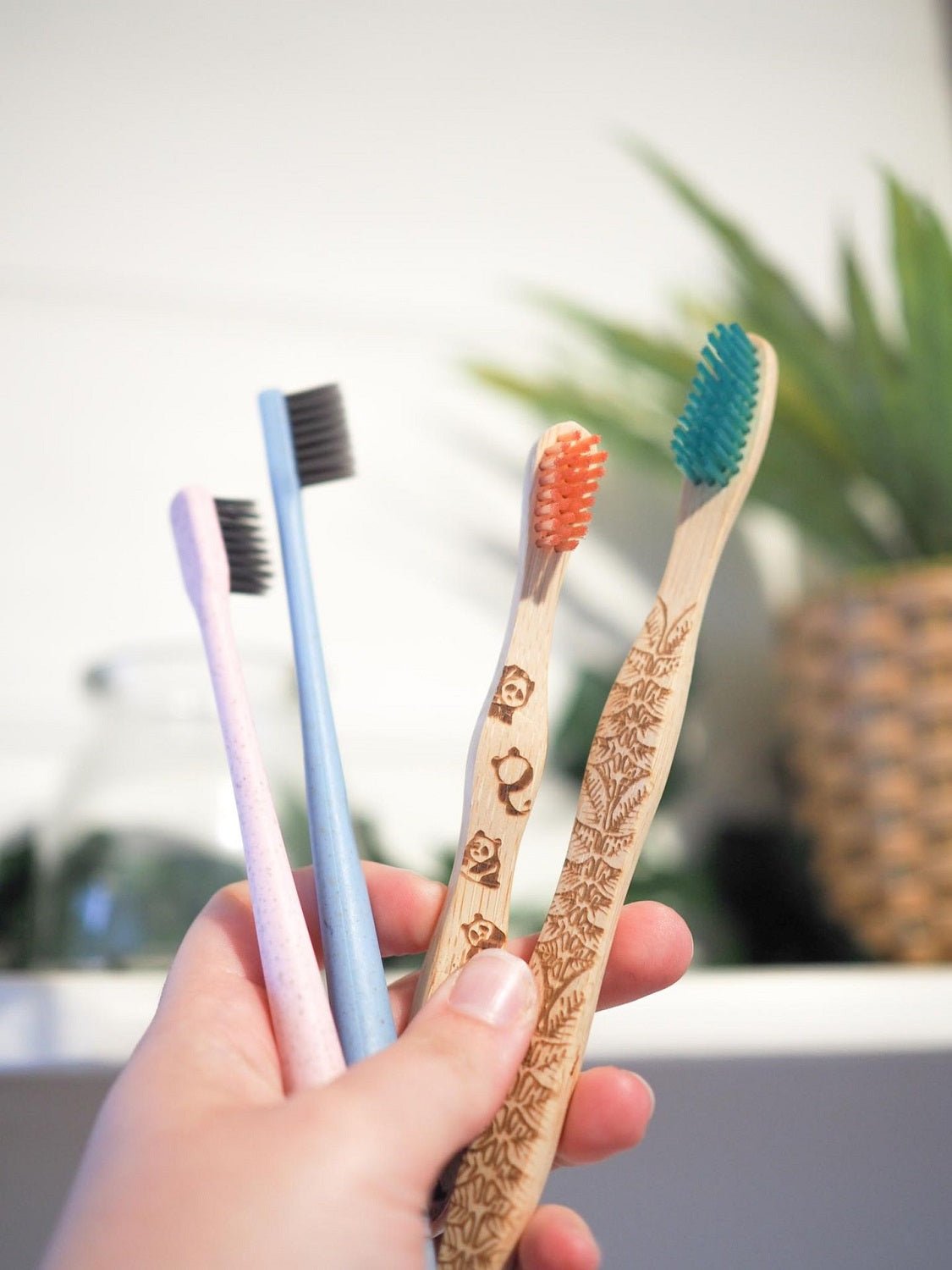 Brush It On - Plastic-Free Oral and Beauty Care Products - Pookipoiga