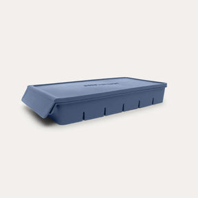 Seed & Sprout 6 Portion Silicone Freezer Tray 100ml in blueberry.