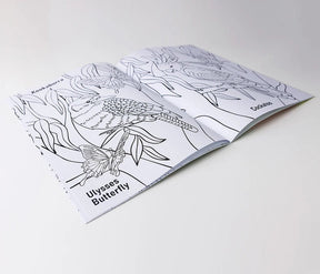 Alperstein Designs - Australian Animals Colouring Book