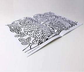 Alperstein Designs - Waringarri Arts Colouring Book