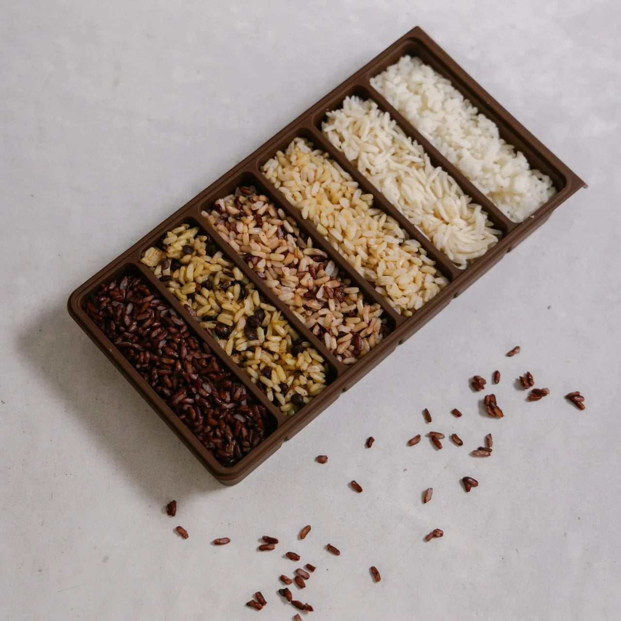 Seed & Sprout 6-portion macadamia silicone freezer tray filled with a colorful variety of cooked grains including black rice, wild rice, brown rice, and white rice.