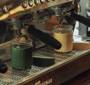 HuskeeSeed and Sprout Glass and Silicone Coffee Cup 8oz same day gift delivery melbourne