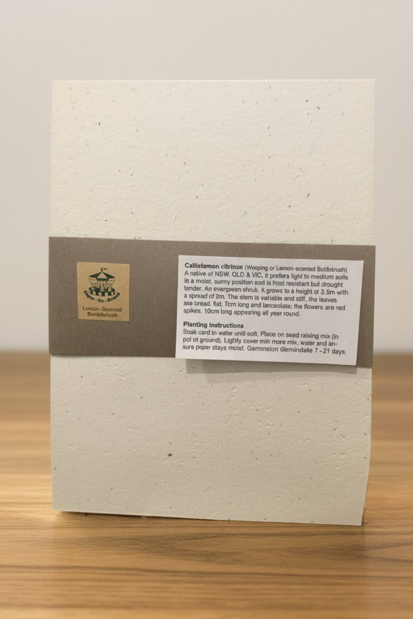 5 Pack Seed Paper-Plantable Paper