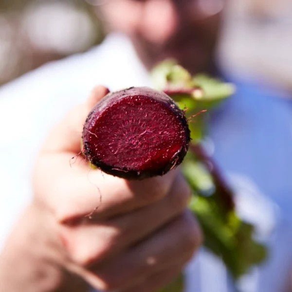 Little Veggie Patch Co - BEETROOT 'DETROIT' HEIRLOOM SEEDS