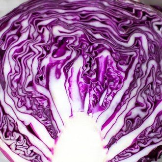 Little Veggie Patch Co - CABBAGE 'SAVOY PURPLE' HEIRLOOM SEEDS