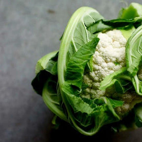 Little Veggie Patch Co - CAULIFLOWER 'SNOWBALL' HEIRLOOM SEEDS