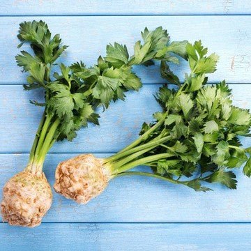 Little Veggie Patch CoLittle Veggie Patch Co - CELERIAC 'WHITE ALABASTER' HEIRLOOM SEEDS #same day gift delivery melbourne#