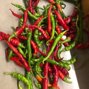 Little Veggie Patch Co - CHILLI 'CAYENNE' HEIRLOOM SEEDS