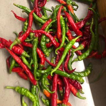Little Veggie Patch Co - CHILLI 'CAYENNE' HEIRLOOM SEEDS
