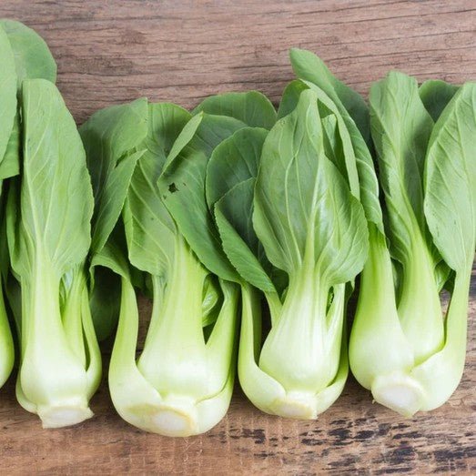 Little Veggie Patch CoLittle Veggie Patch Co - PAK CHOI 'GREEN' HEIRLOOM SEEDS #same day gift delivery melbourne#
