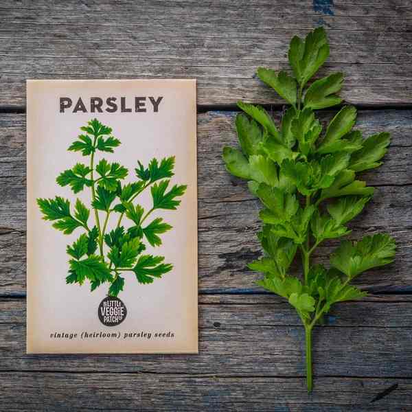 Little Veggie Patch CoLittle Veggie Patch Co - PARSLEY 'ITALIAN' HEIRLOOM SEEDS #same day gift delivery melbourne#