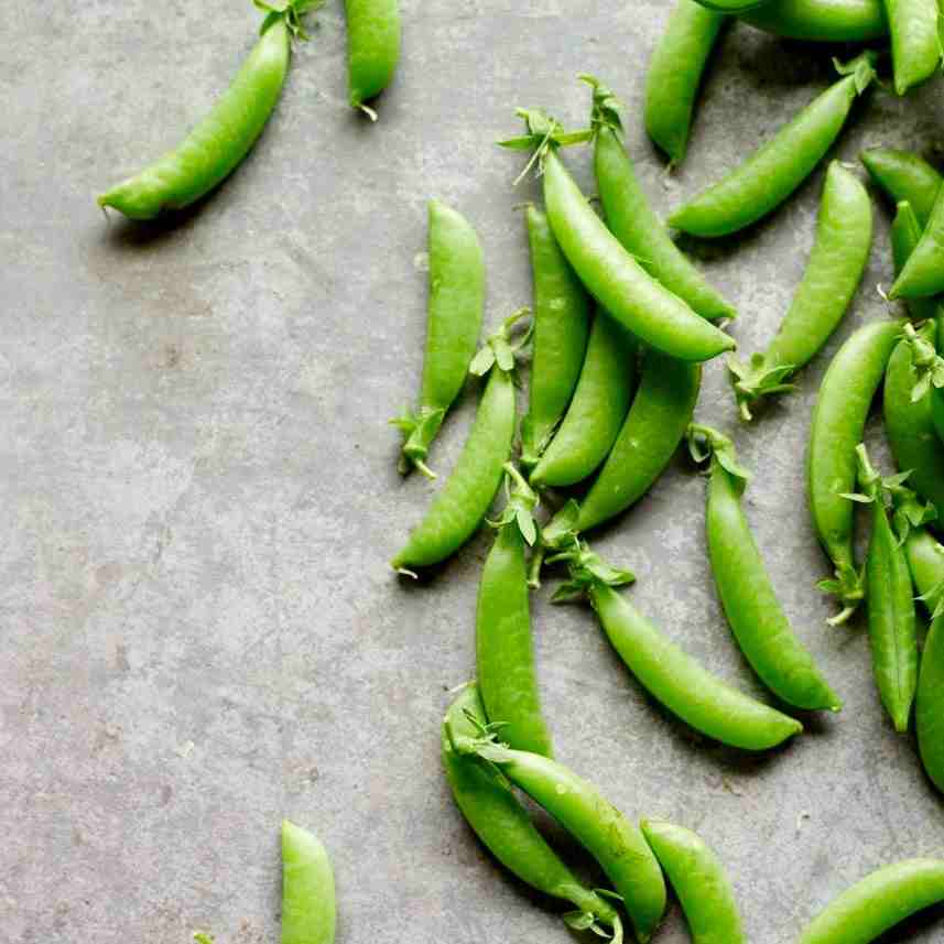Little Veggie Patch CoLittle Veggie Patch Co - PEA 'SNAP SUGAR BON' HEIRLOOM SEEDS #same day gift delivery melbourne#