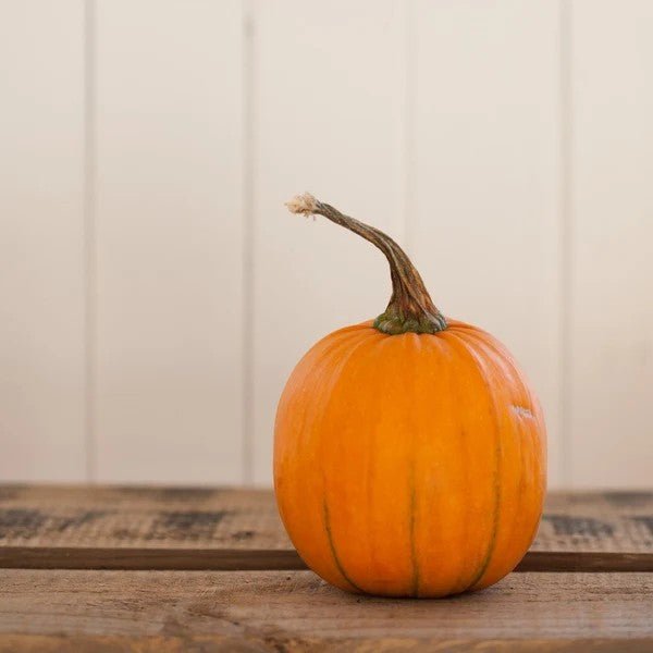 Little Veggie Patch CoLittle Veggie Patch Co - PUMPKIN 'SMALL SUGAR' HEIRLOOM SEEDS #same day gift delivery melbourne#