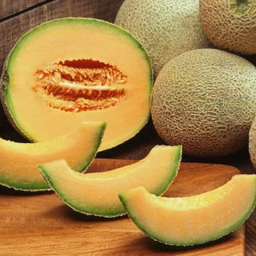 Little Veggie Patch Co - ROCKMELON 'HALES JUMBO' HEIRLOOM SEEDS